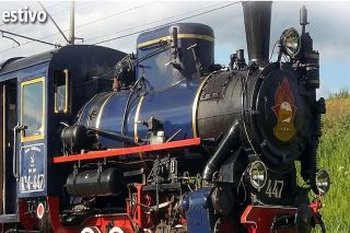 TRENO RETRO VYBORG
