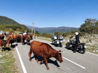 TOUR IN MOTO DELLA GEORGIA - 1