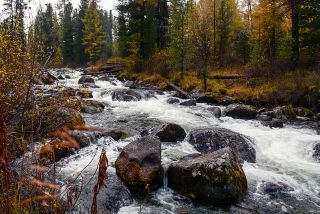 TOUR GRANDE ANELLO DI SAIYAN - 10