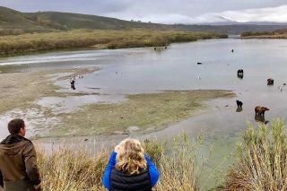 TOUR DEL KAMCHATKA,VULCANO TOLBACHIK E IL LAGO KURILSKY