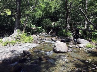 TOUR ISOLA DI SAKHALIN - 13