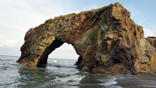 TOUR ISOLA DI SAKHALIN - 7