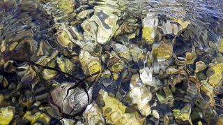 TOUR ISOLA DI SAKHALIN - 21