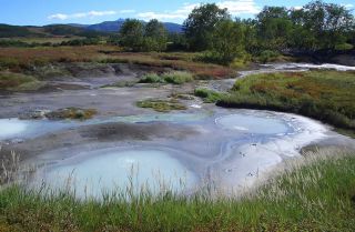 VALLE DEI GEYSERS, UZON CALDERA, VALLE DEL NALYCHEVO - 2